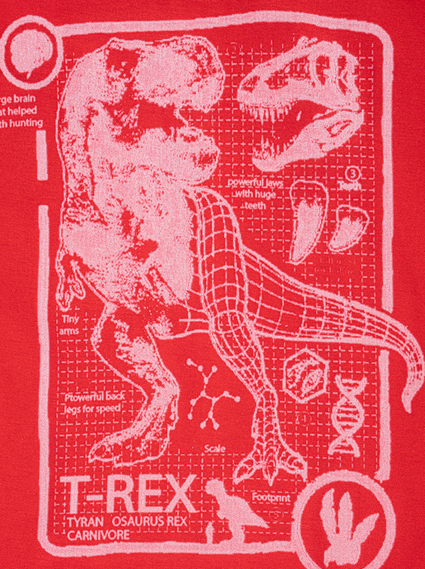 تیشرت پسرانه مدل t-rex 3