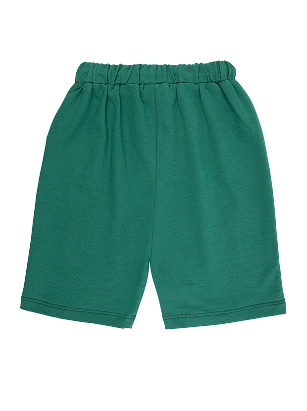 تیشرت و شلوارک پسرانه مدل ببر مغرور 5