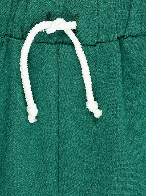 تیشرت و شلوارک پسرانه مدل ببر مغرور 7