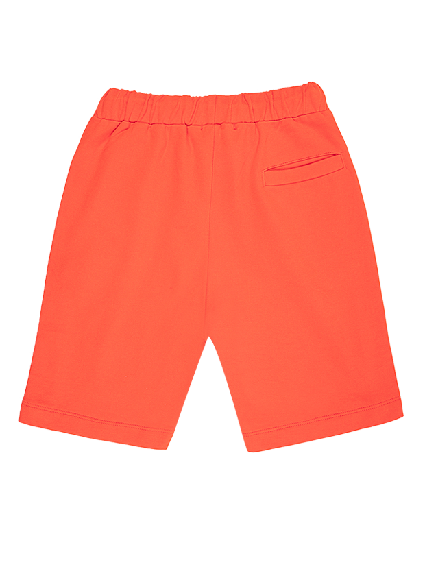 تیشرت و شلوارک پسرانه مدل lion coach 5