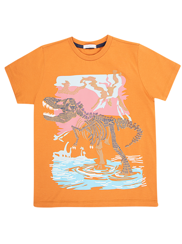 تیشرت و شلوارک پسرانه مدل t-rex on water 2