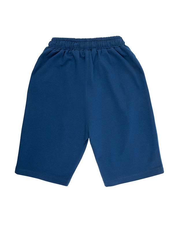 تیشرت و شلوارک پسرانه مدل t-rex on water 5