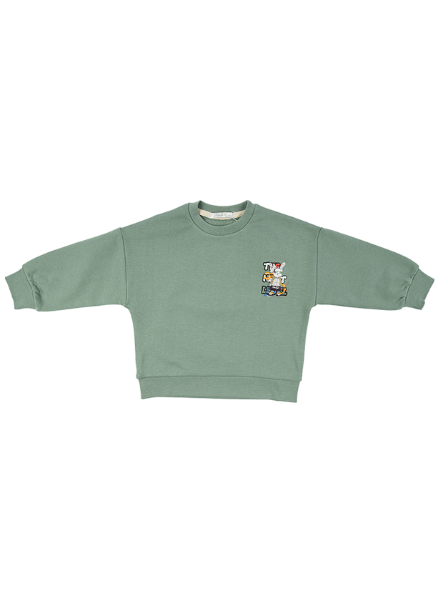 بلوز پسرانه مدل خرگوش قهرمان 1