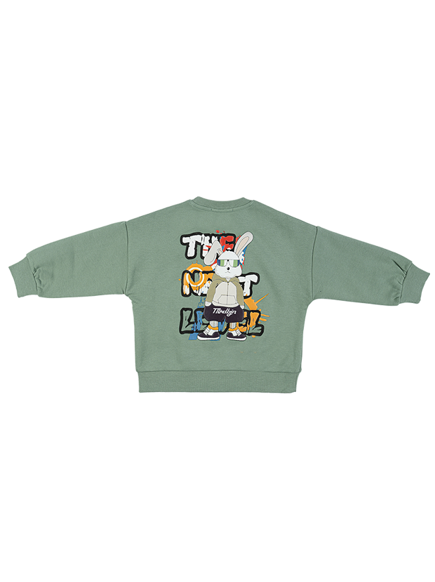 بلوز پسرانه مدل خرگوش قهرمان 2