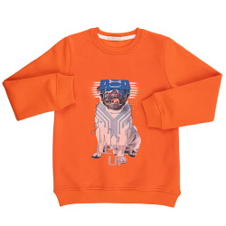 بلوز پسرانه مدل DOGY