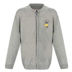 ژاکت پسرانه مدل پانی طوسی آیچیلک