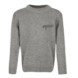 بافت پسرانه مدل سگ خاکستری آیچیلک