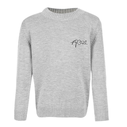 بافت پسرانه مدل سگ طوسی آیچیلک