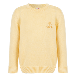 بافت پسرانه مدل لیمویی ساده آیچیلک