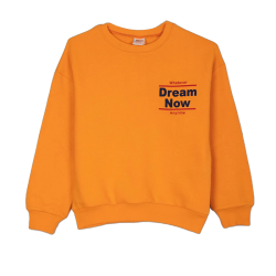 بلوزپسرانه مدل نارنجی mango